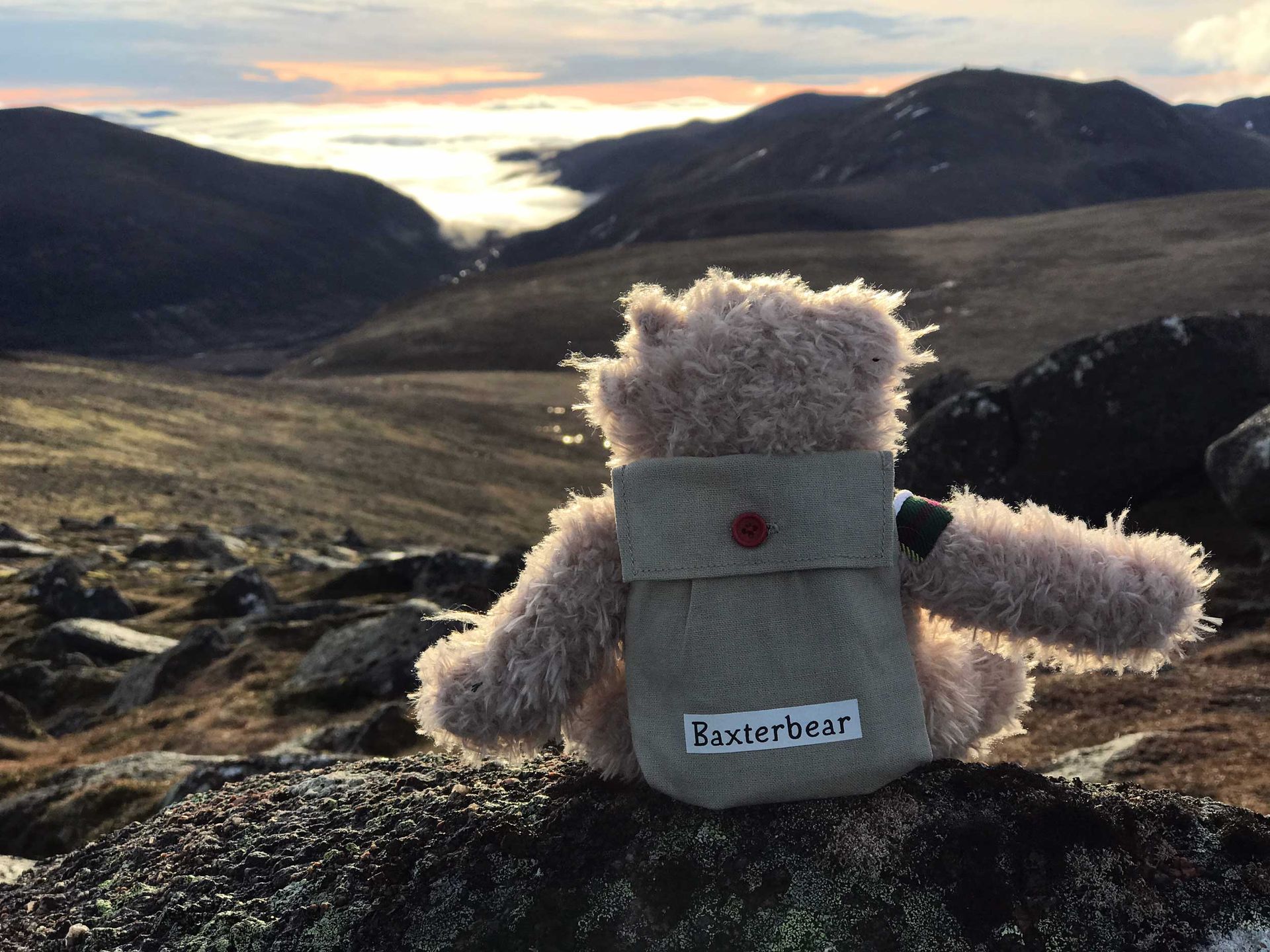 Friends of Baxterbear